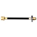 camphosepol.jpg camphosepol.jpg