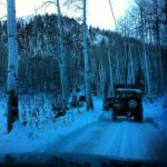 Screen shot 2012-12-08 at 11.59.12 AM.jpg