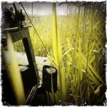 My HipstaPrint 897570309-31.jpg