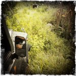 My HipstaPrint 897570309-26.jpg