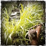 My HipstaPrint 897570309-25.jpg