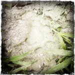 My HipstaPrint 897570309-20.jpg