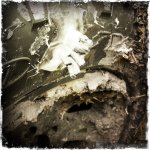 My HipstaPrint 897570309-4.jpg