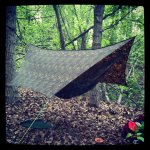 1782f9f0adbd11e19e4a12313813ffc0_7.jpg 1782f9f0adbd11e19e4a12313813ffc0_7.jpg