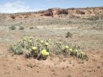 DeloresTriangleMay19,2012 078.JPG