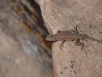DeloresTriangleMay19,2012 093.jpg