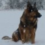 aDognamedAjax