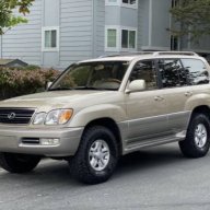goldylx2000