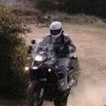 GorillaHand66