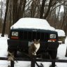 jeepon