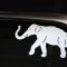 WhiteElephant